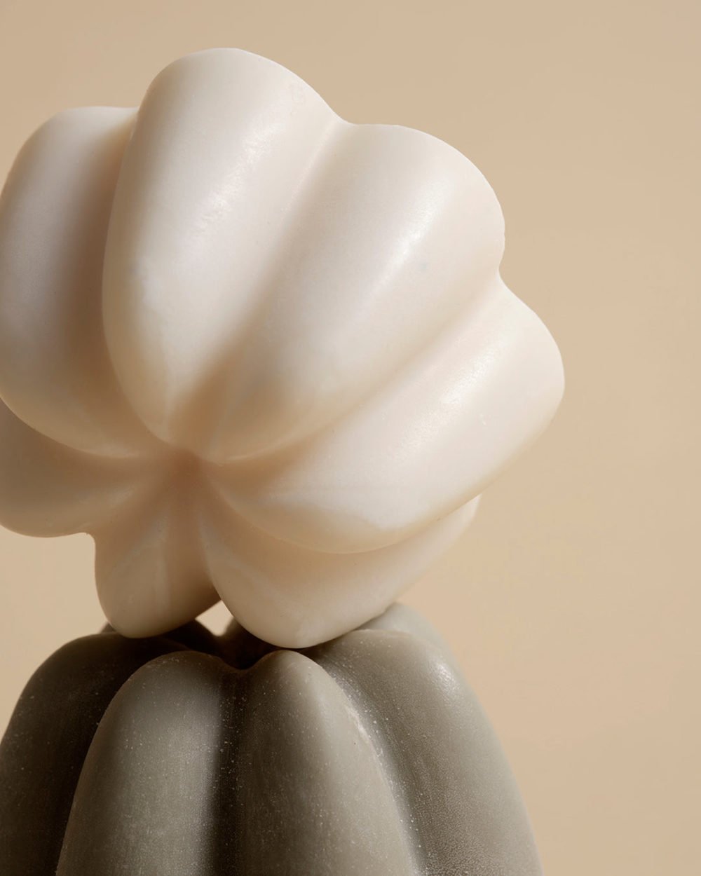 Gentle Detox Solid Shampoo - Image 3