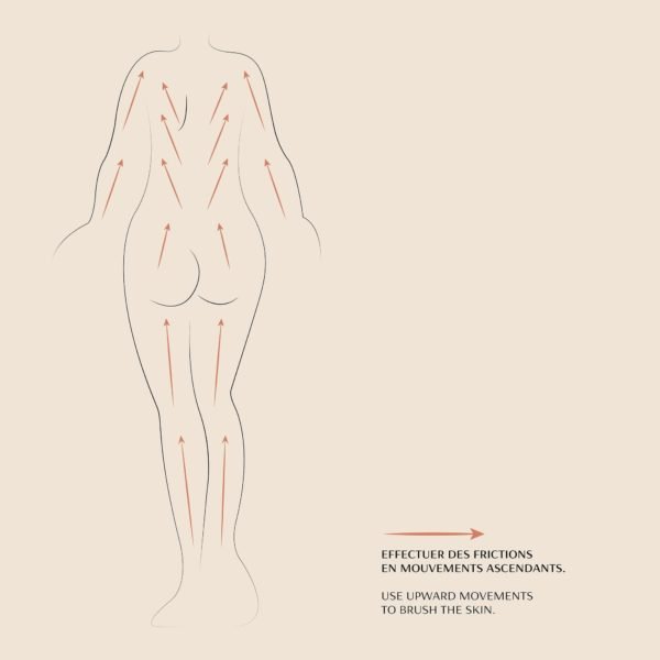 Dry Body Brush - Image 7