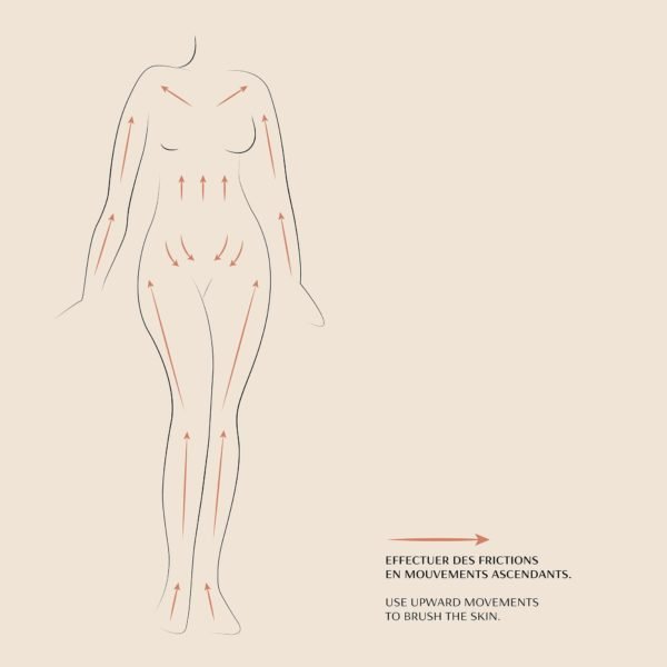 Dry Body Brush - Image 6