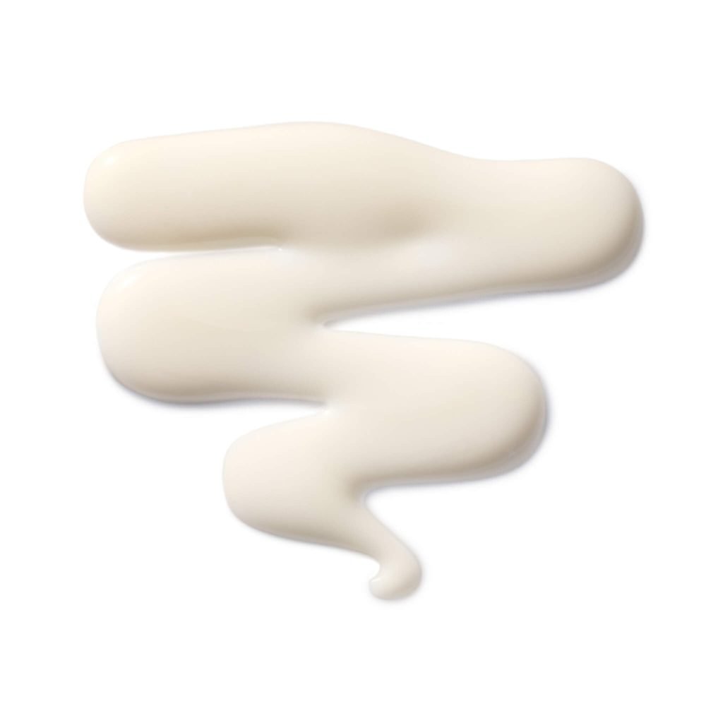 The Leave-In Hair Treatment - Image 2