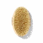Dry Body Brush